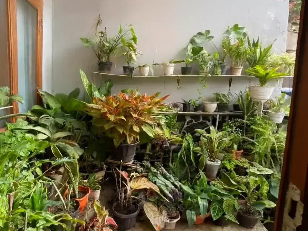 DIJUAL RUMAH RENI JAYA PAMULANG TANGERANG SELATAN