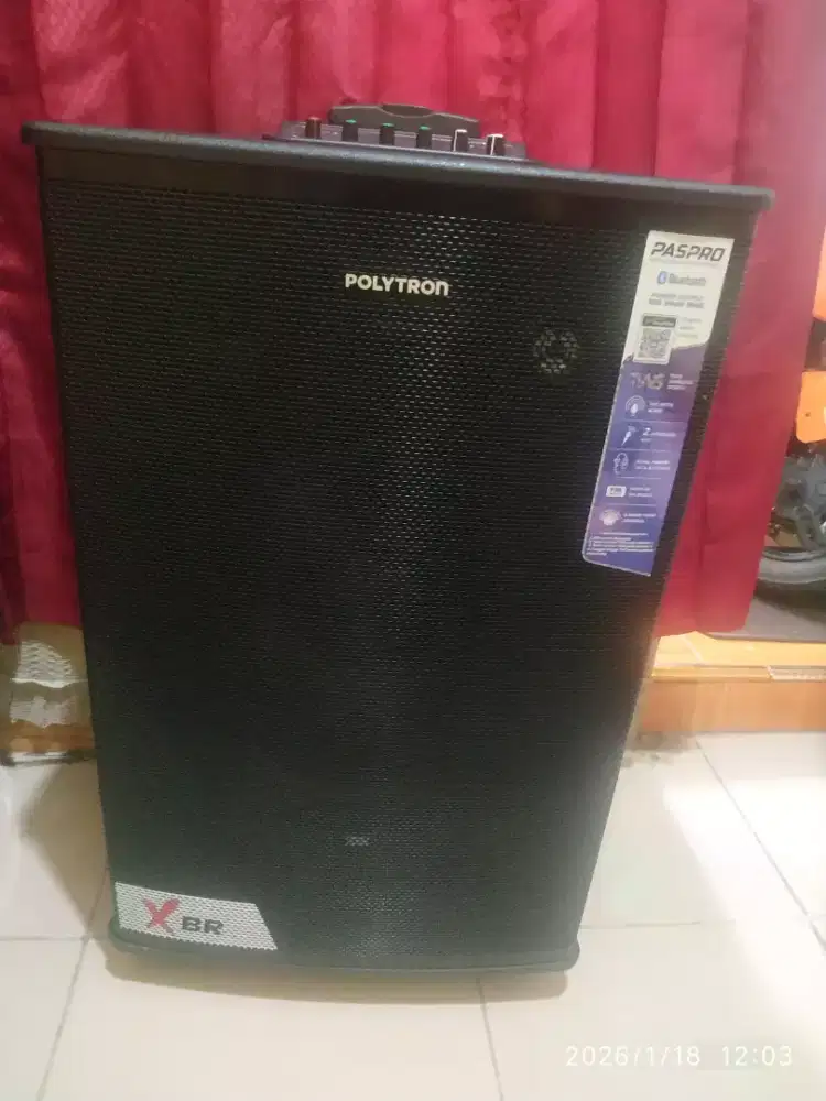 15 Inch Polytron Paspro