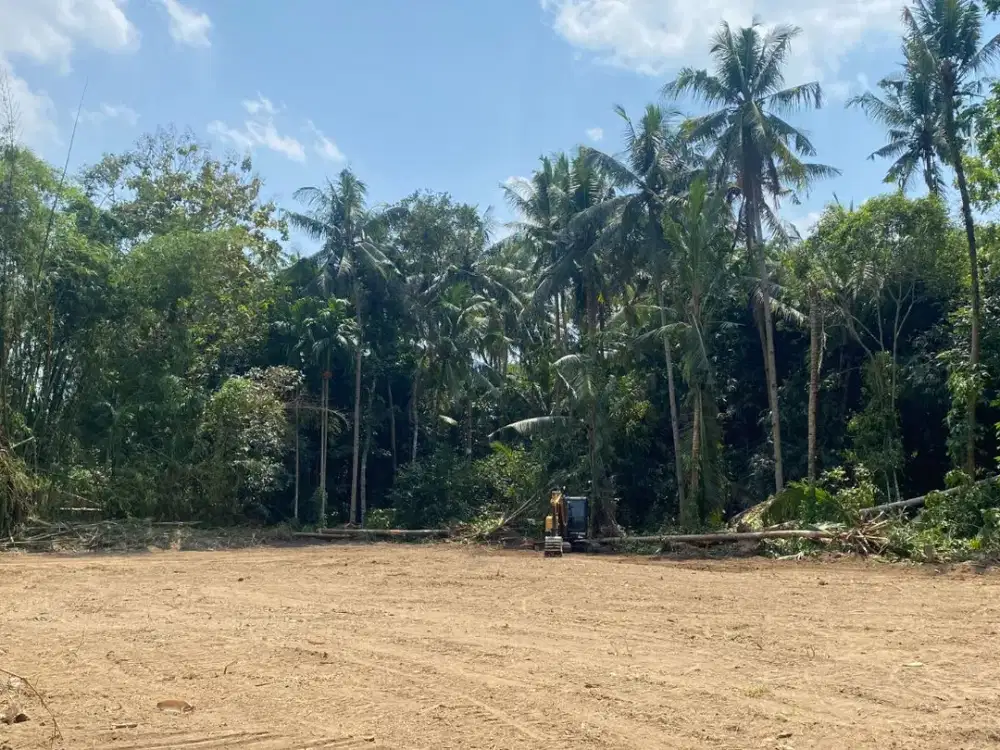 SHM Tanah Belakang Pemda Sleman Area Tridadi Dekat Jl Magelang