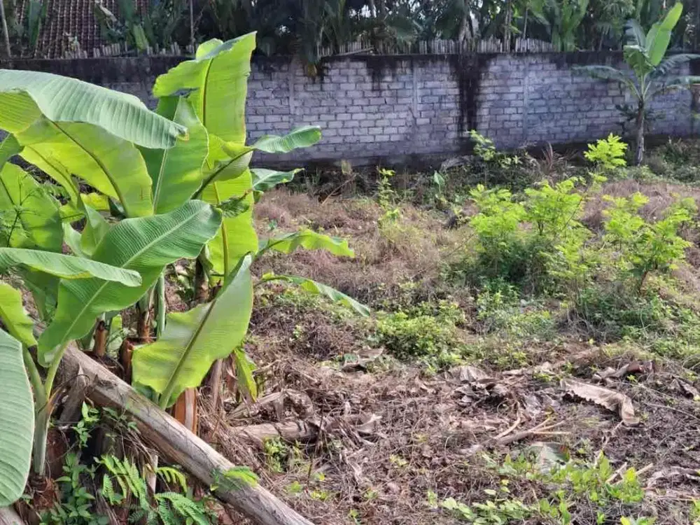 for  freehold or leasehold 
Located on Jalan Camplung tanduk 
GANG bunga kecil Seminyak