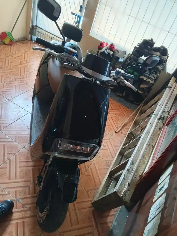 Molis tangkas P6 pro