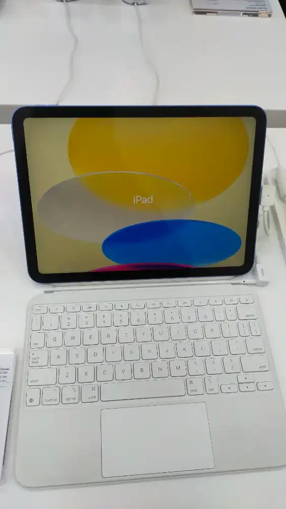 PROMO BUNGA RINGAN IPAD GEN 11 A16 WIFI 128