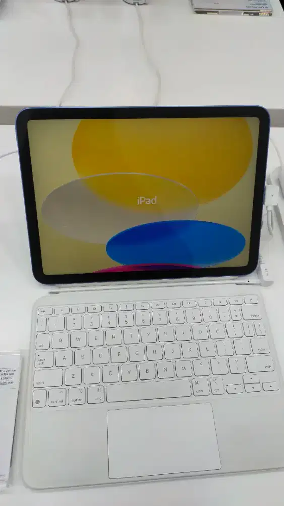 PROMO BUNGA RINGAN IPAD GEN 11 A16 WIFI 256