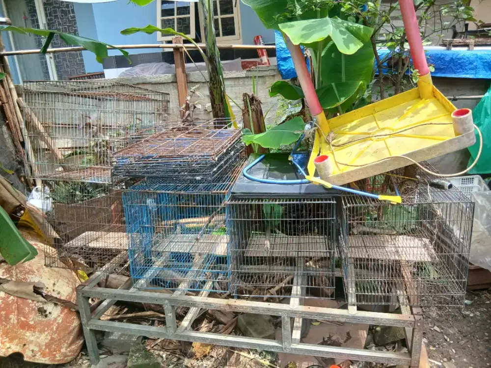 Kandang kucing ukuran 1 pintu