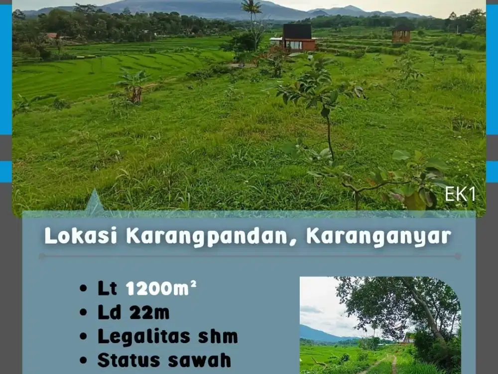 Dijual Sawah Lokasi Karangpandan, Karanganyar
