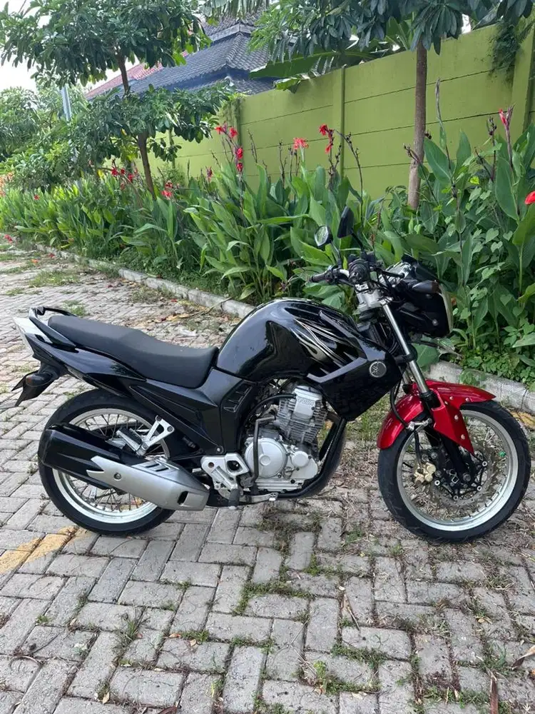 Scorpio new Z 2012 robot