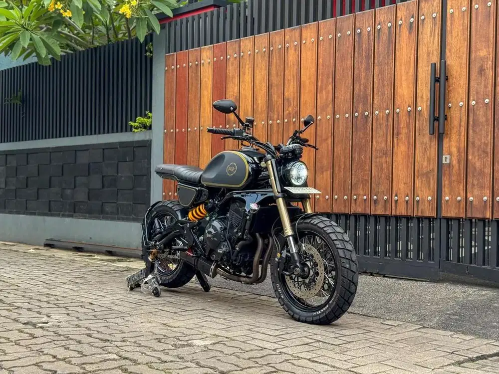 KAWASAKI ER6N SCRAMBLER FULL PAPER