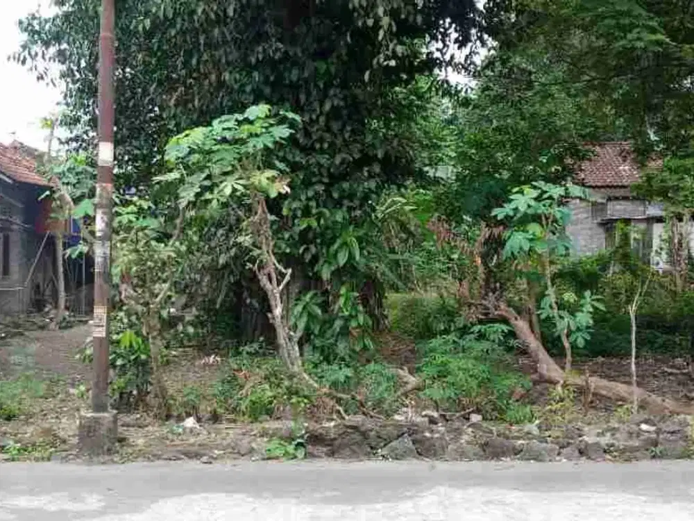 DIJUAL Tanah di Selatan Hotel Hyatt . Jl. Palagan