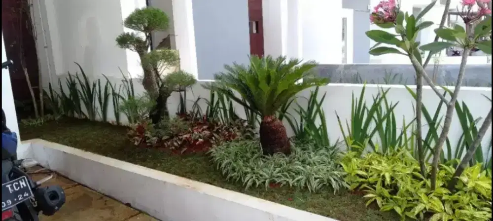 Pembuatan taman kecil