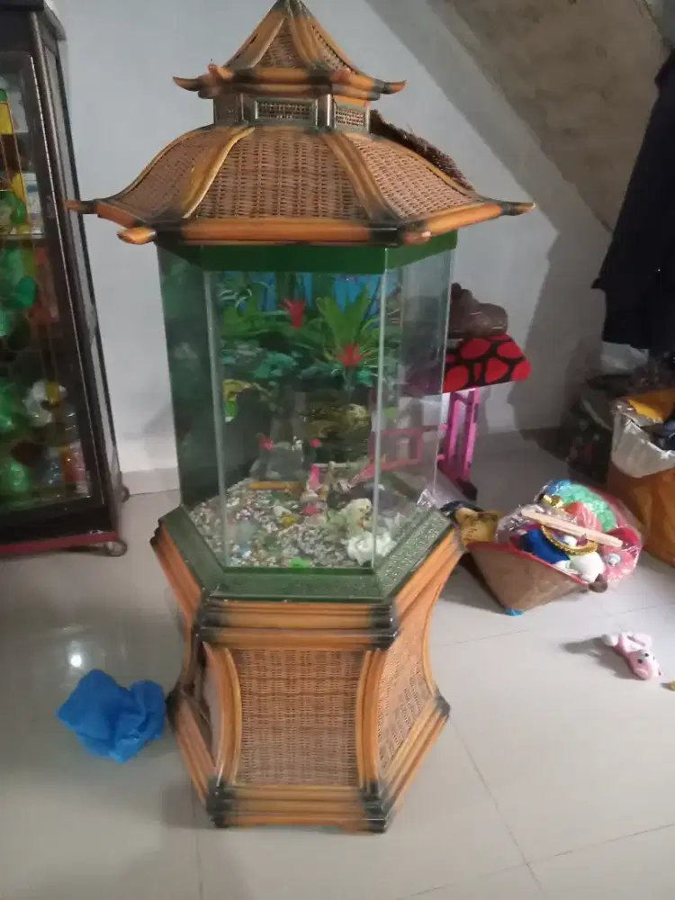 Di jual.aquarium ikan