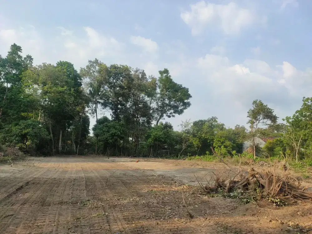 Sisa 1 Unit SHM Tanah Kalasan 50 Meter Jl LPMP Dekat Gerbang Tol Purwomartani