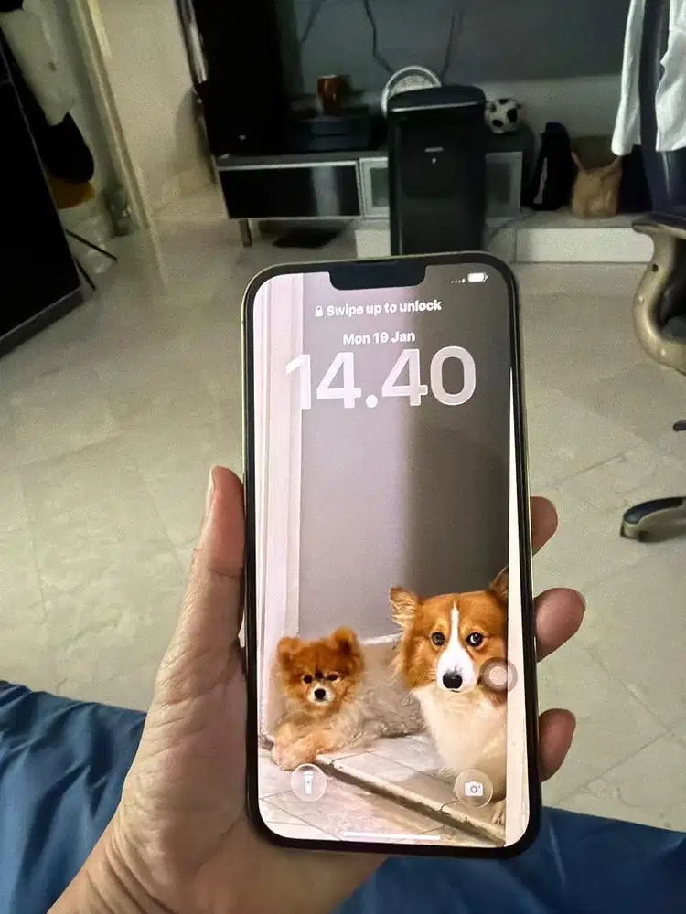 Iphone 13 promax 256 gb