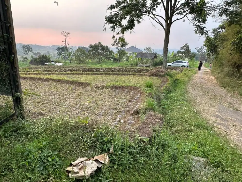 Dijual Tanah Sawah