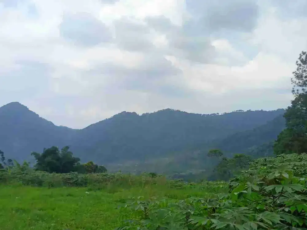 Jual Tanah Kavling 3000 meter, Bogor