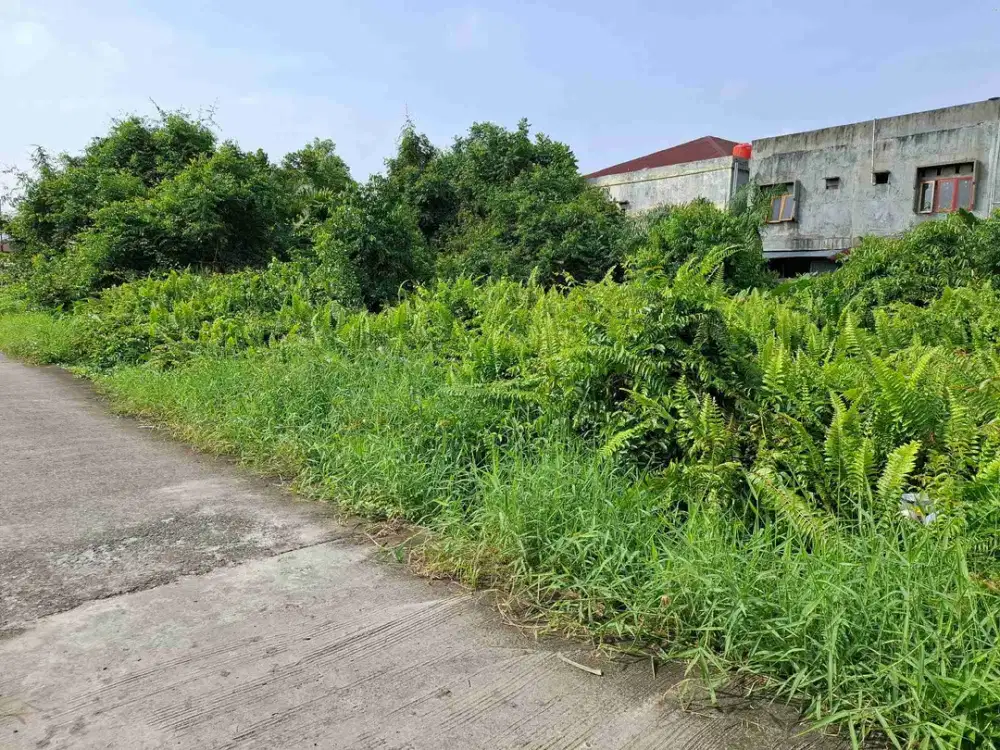 Tanah Jalan Todak tengah kota 200m dari jalan Nangka