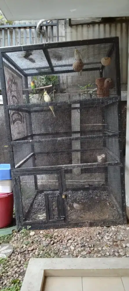 Kandang Burung Aviary Besar