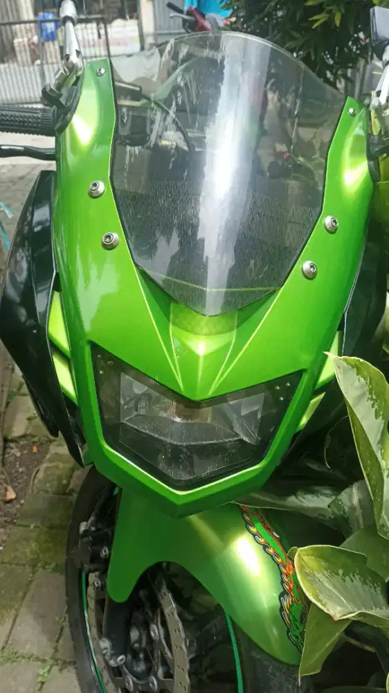 Kawasaki Ninja RR 2014