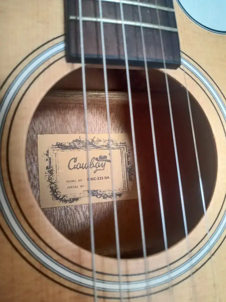 Gitar akustik electric