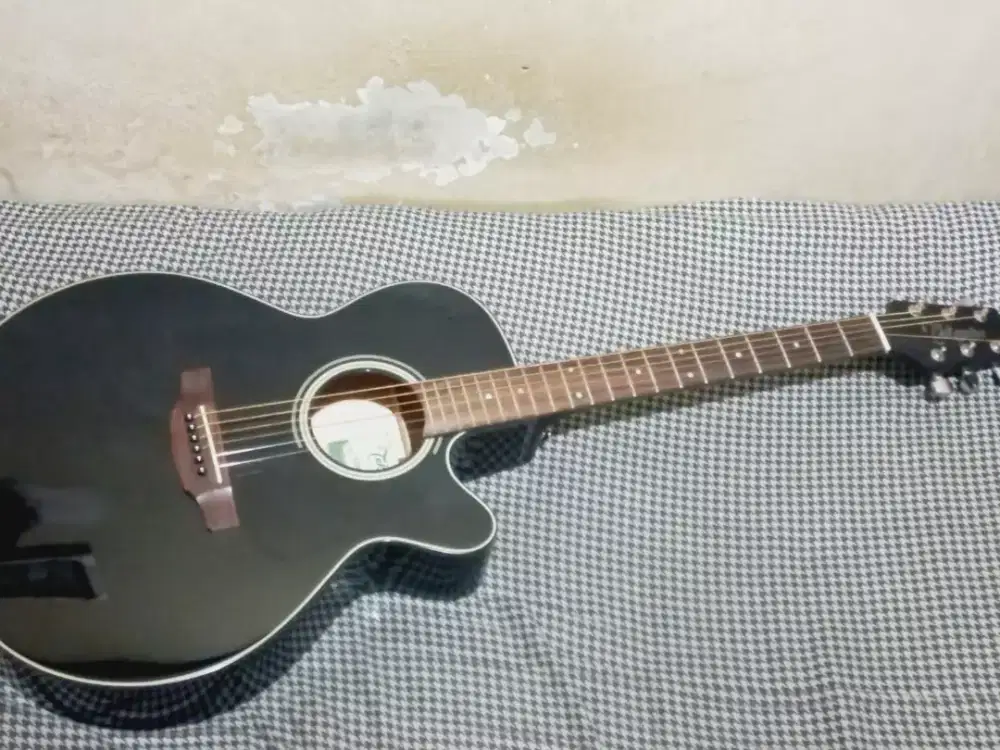 takamine d-series