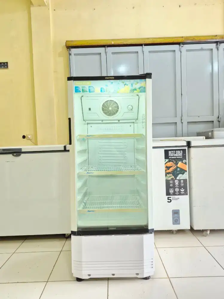 SHOWCASE POLYTRON ORI MULUS