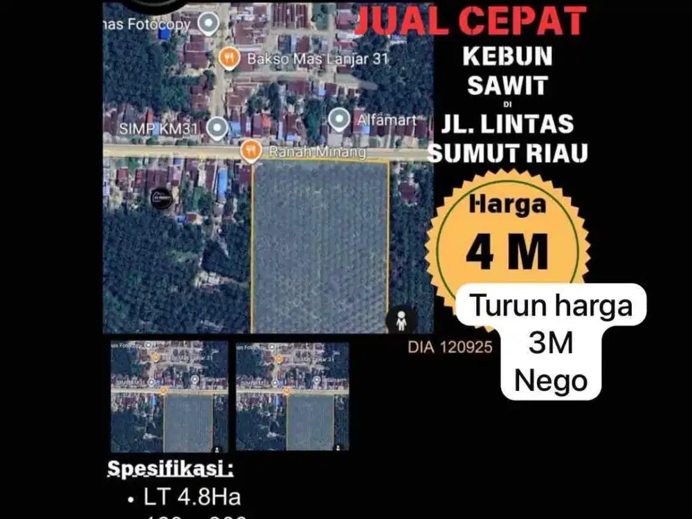 Lahan Sawit Produktif Butuh Segera Terjual