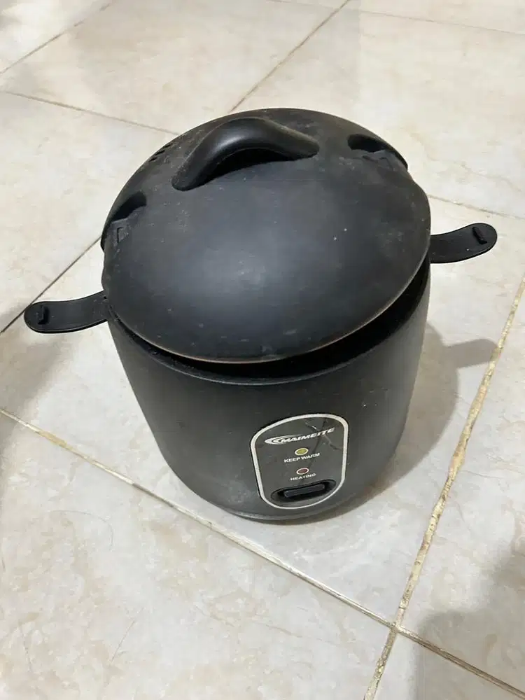 Rice cooker mini