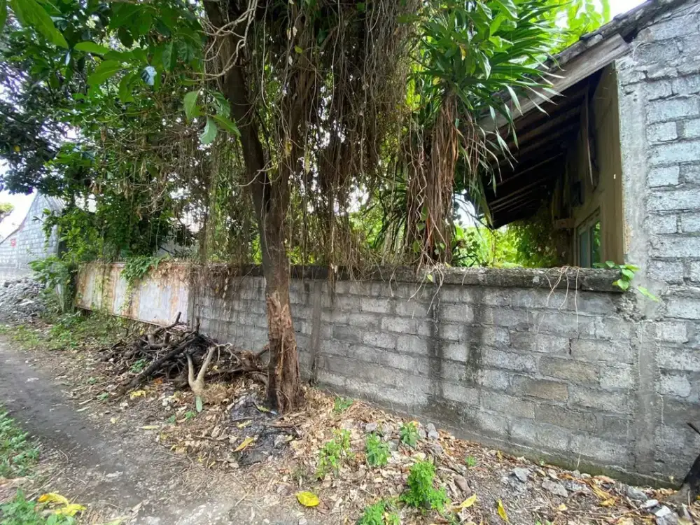 Dijual tanah lokasi di jalan sidakarya Sesetan Denpasar Selatan
