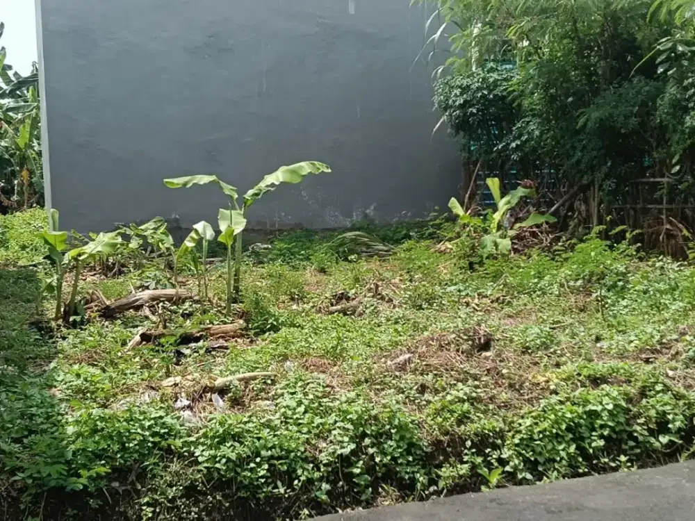 DiJual Tanah Kosong Lingkungan Perumahan lokasi Jalan Sedap Malam