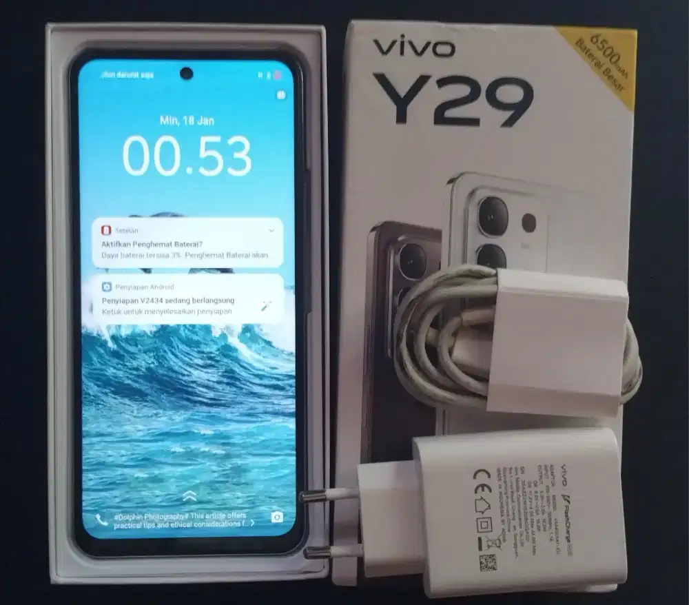 Vivo Y29 8/128 Mulussss