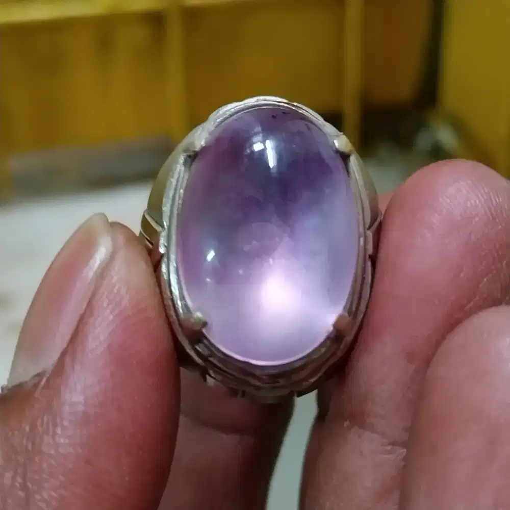 Kecubung bungur lampung btb monel no 8