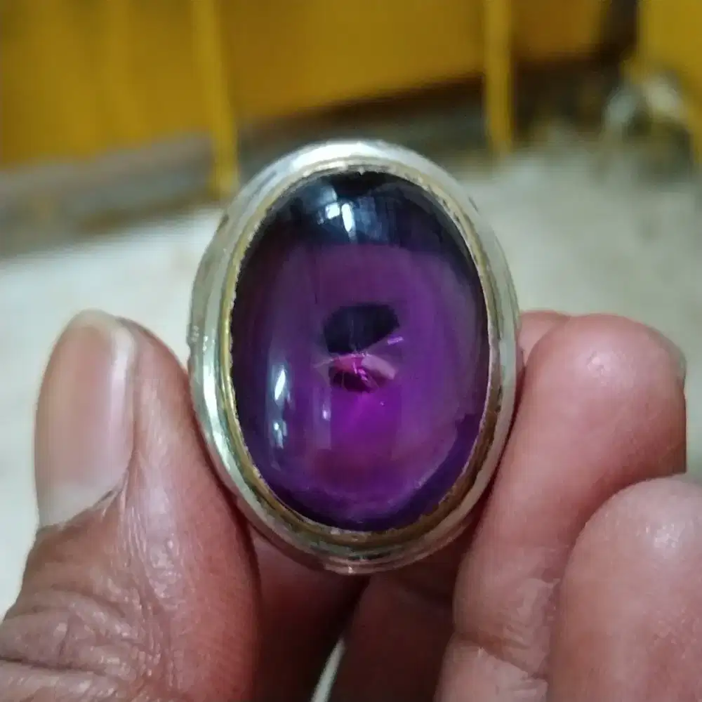 Kecubung hibride brasil monel no 9