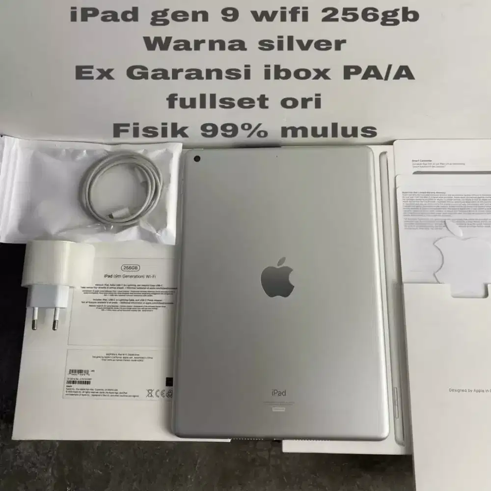 Ipad gen 9 wifi 256gb ibox second