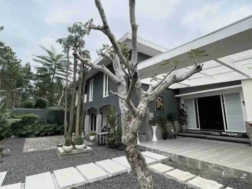 Rumah Mewah Di Setiabudi Regency Bandung