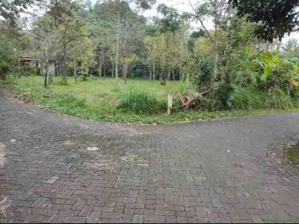 Dijual murah kebun Durian dan Pete