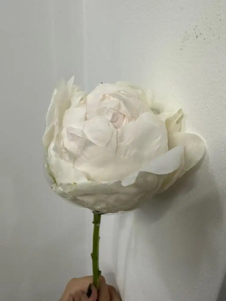 dicari pekerja wanita menjadi admin