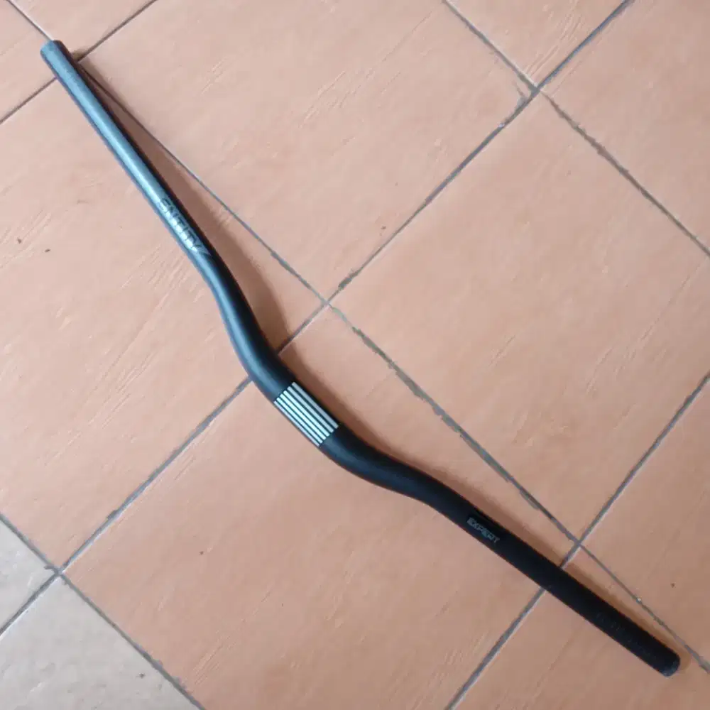 Handlebar Entity Expert