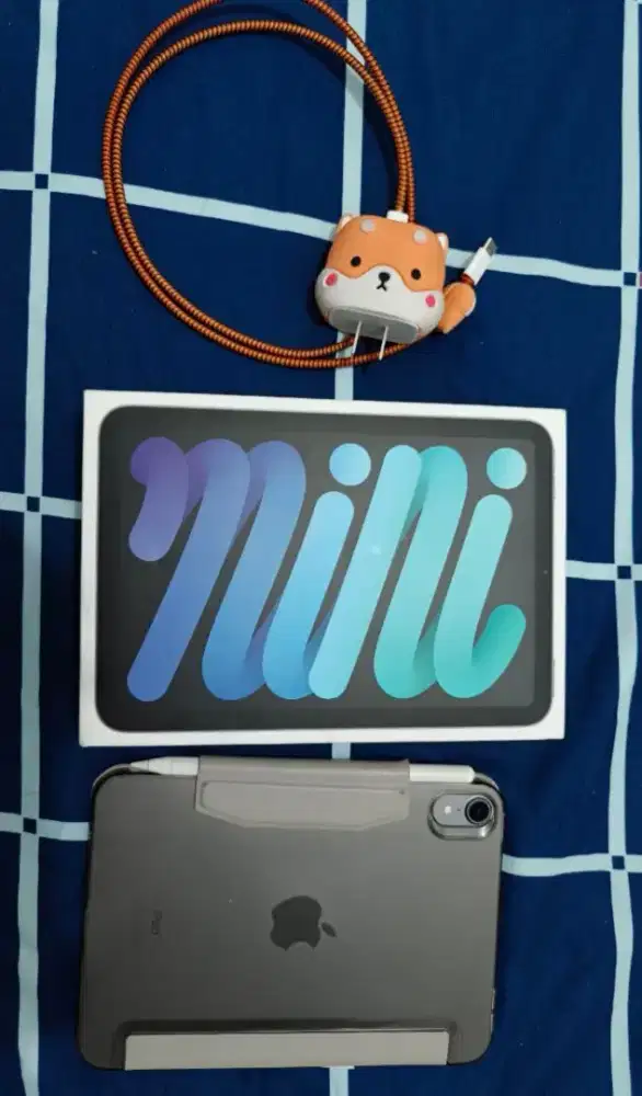 Ipad Mini 6 256 + Apple Pencil