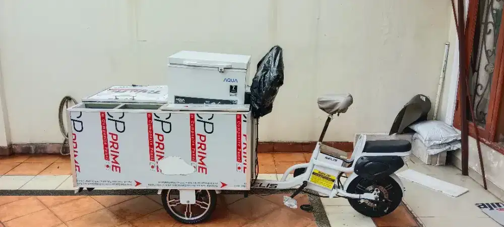 Jual GROBAK Frizer SEPEDA LISTRIK SELIS