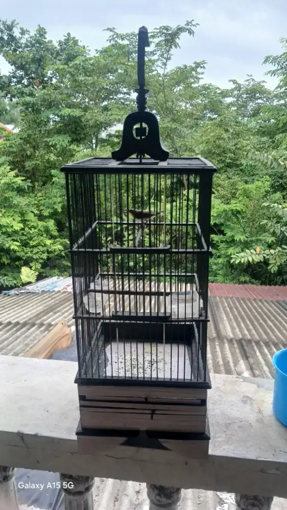 Sogon sama sangkarnya