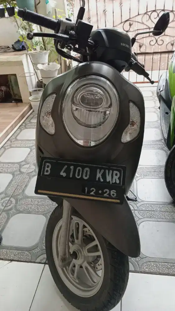 Scoopy prestige