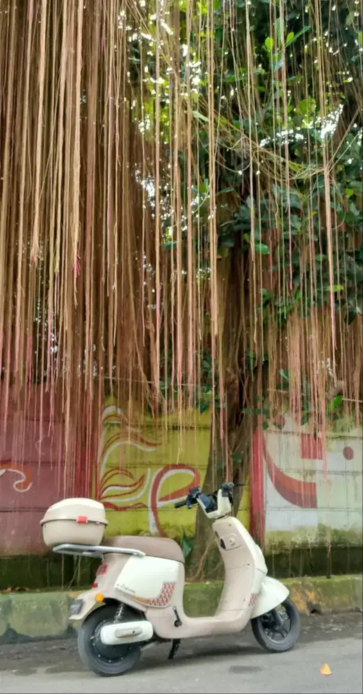 Sepeda listrik seperti motor