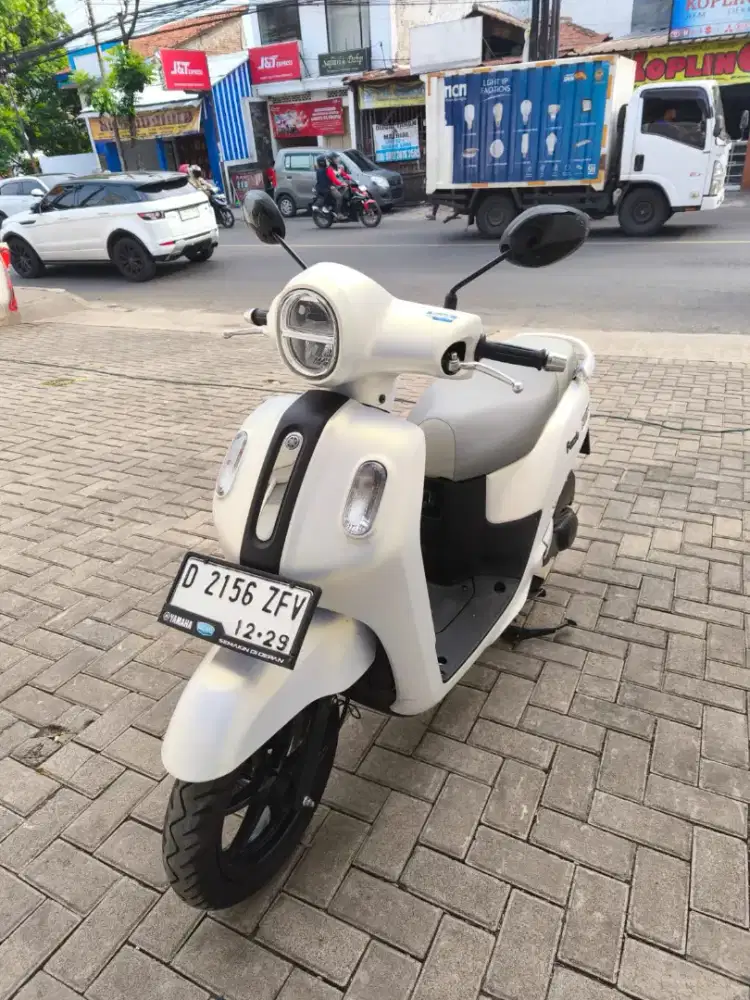 Yamaha fazio lux 2024