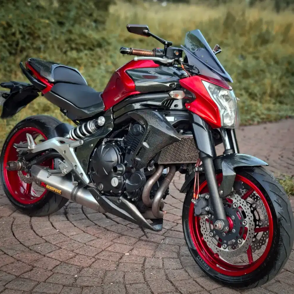 Bissmillah For Sale Er6N 2012