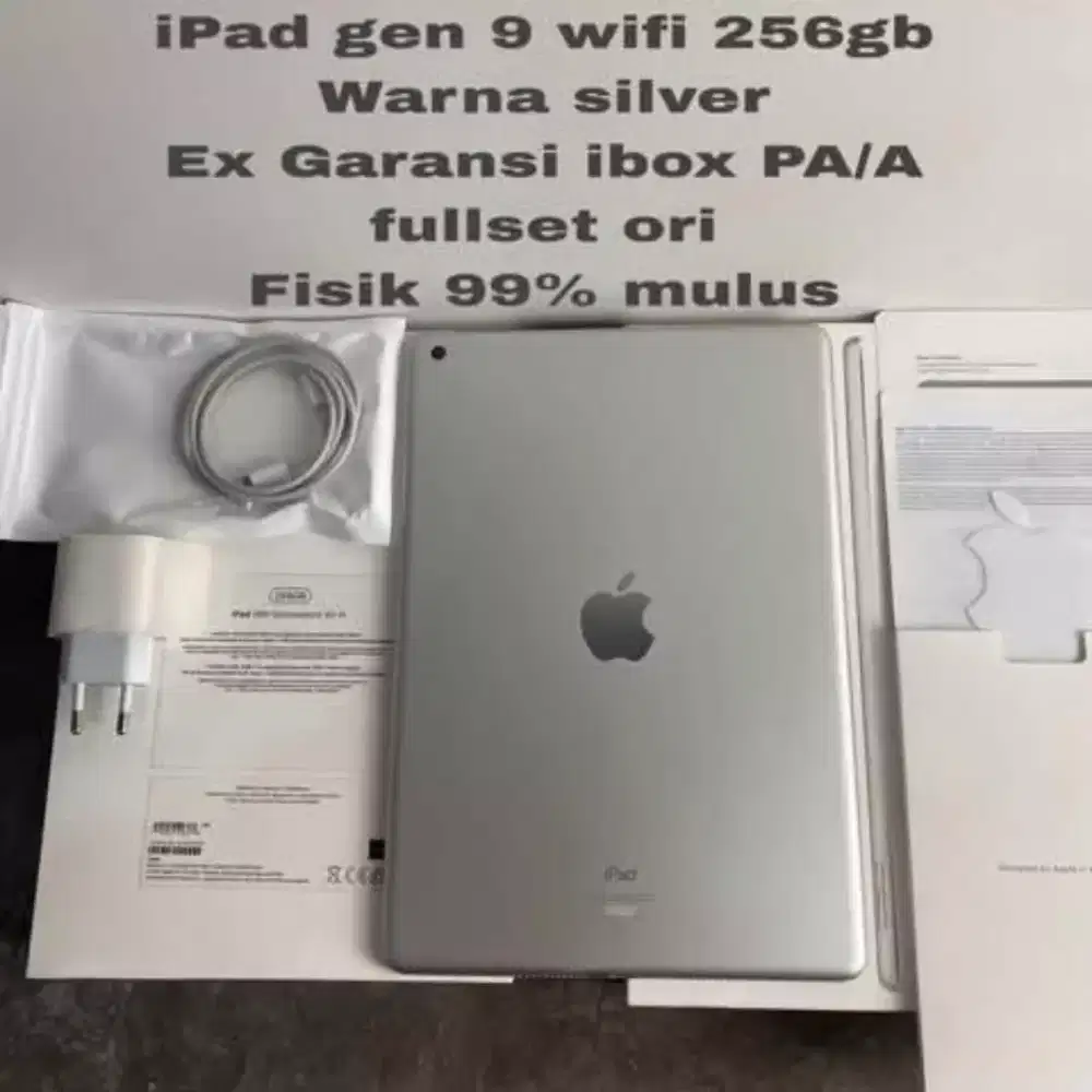 Ipad gen 9 wifi 256gb ibox second