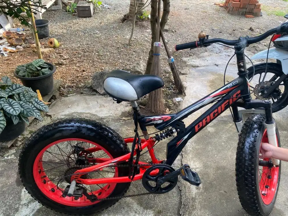 Sepeda anak bisa dewasa bisa