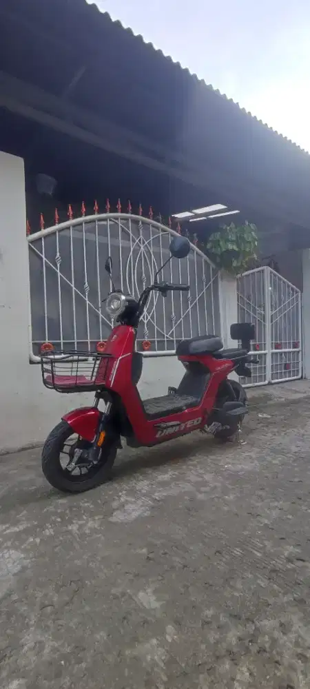 Salvador tangguh batre prima siap nanjak BU