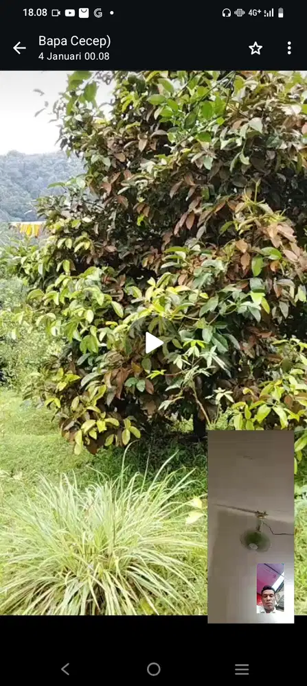 Jual tanah kebun manggu