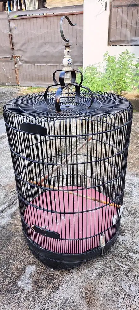 Kandang burung murai