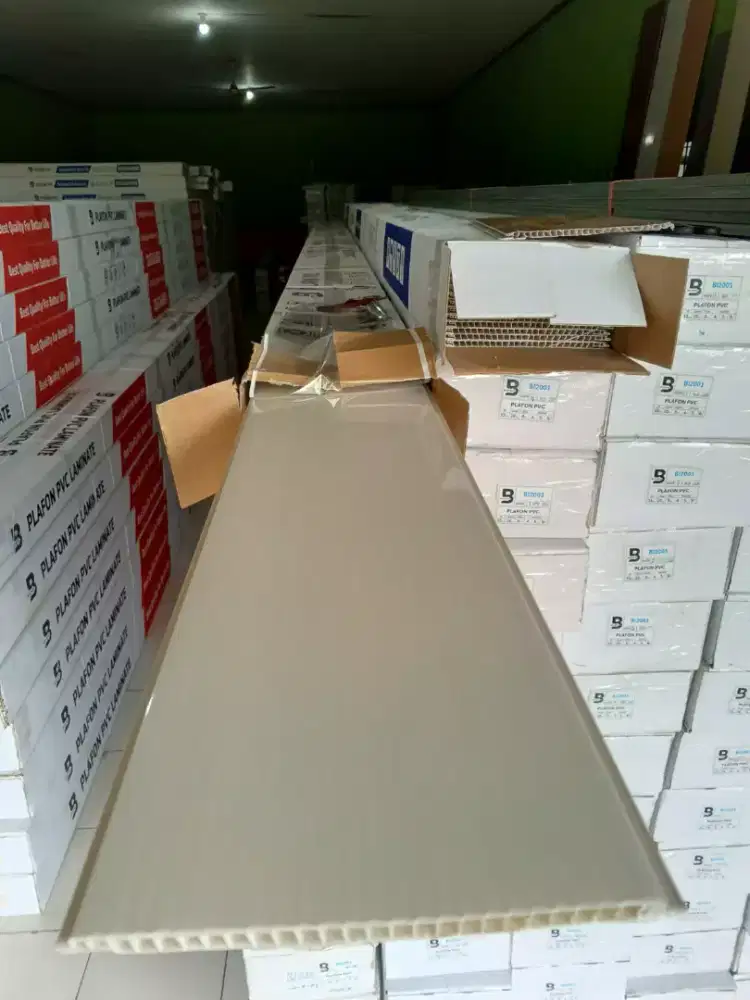 Plapon PVC dan interior