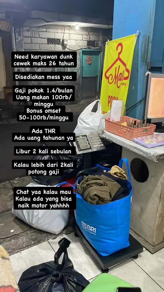 Lowongan Pekerja Laundry